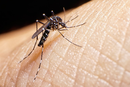 Avanço dos casos positivos de dengue deixa municípios em alerta e autoridades da saúde realizam reunião para definir plano de combate ao mosquito - Foto: Reprodução/Município Rio Grande