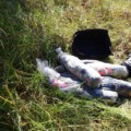 Suspeita envenenou a vítima e jogou partes do corpo, na BR-158, entre Três Lagoas e Selvíria. - Divulgação/Polícia Civil