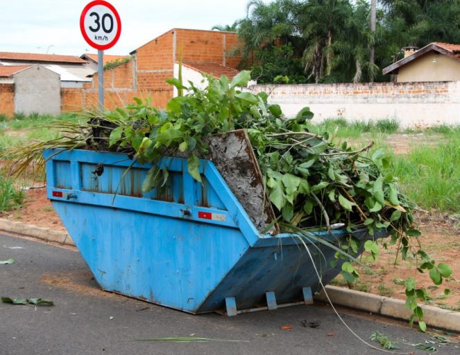 E são proibidas galhadas e folhagens de podas recentes, móveis, lixo doméstico entre outros. - Divulgação/Assessoria