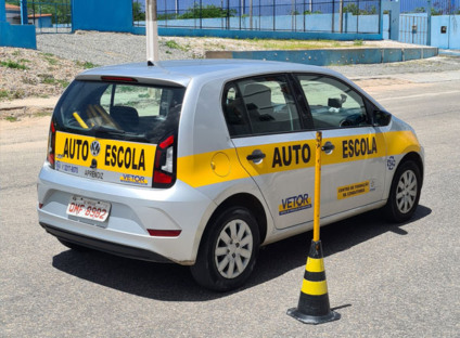 Estelionatários usavam site clonado para emissão da CNH - Foto: Reprodução/Vetor