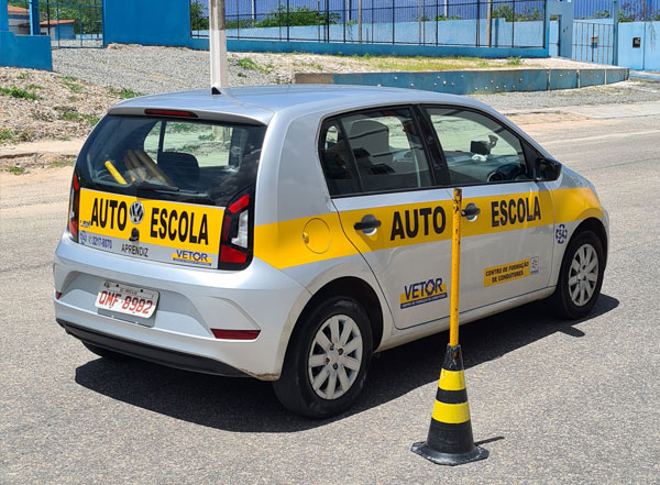 Estelionatários usavam site clonado para emissão da CNH - Foto: Reprodução/Vetor