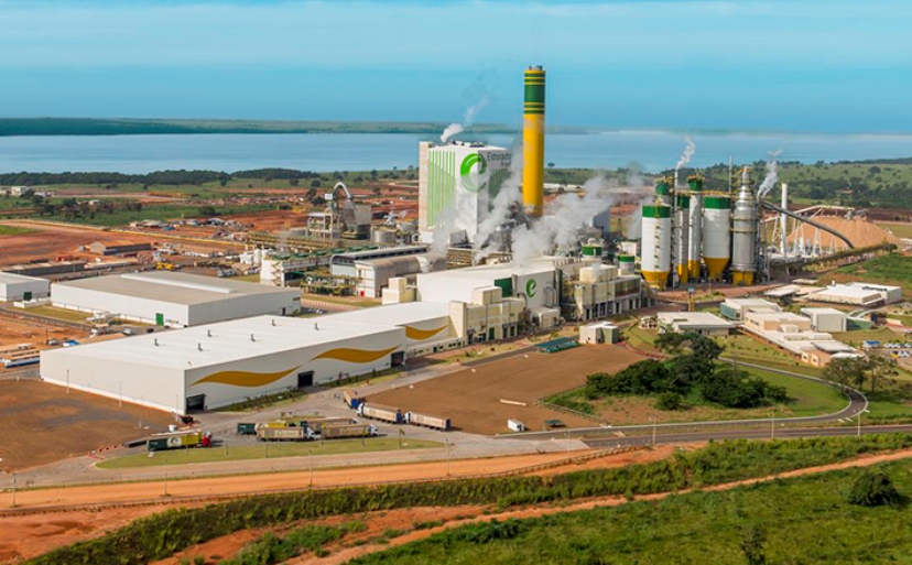 Fábrica de celulose pode ser ampliada após desfecho sobre venda.