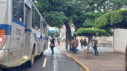 Consórcio precisa renovar 184 ônibus - Foto: Lígia Sabka/ CBN CG