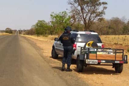 Fiscalização nas rodovias começaram na sexta-feira (3). - Foto: Divulgação/BPMRv