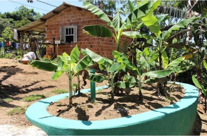 Fossa verde é um sistema sustentável de tratamento de esgoto - Foto: Reprodução/Fundação Nacional de Saúde