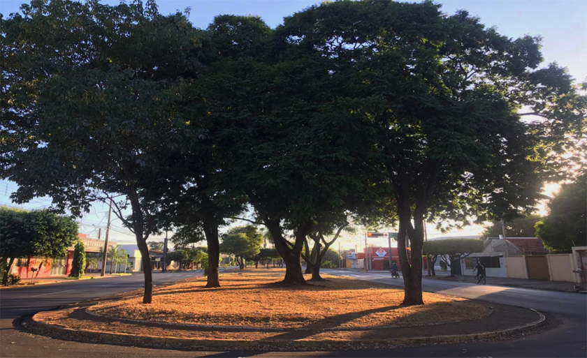 A partir de quarta-feira o avanço de uma frente fria oceânica traz chuva para todo Estado - Israel Espíndola/RCN67