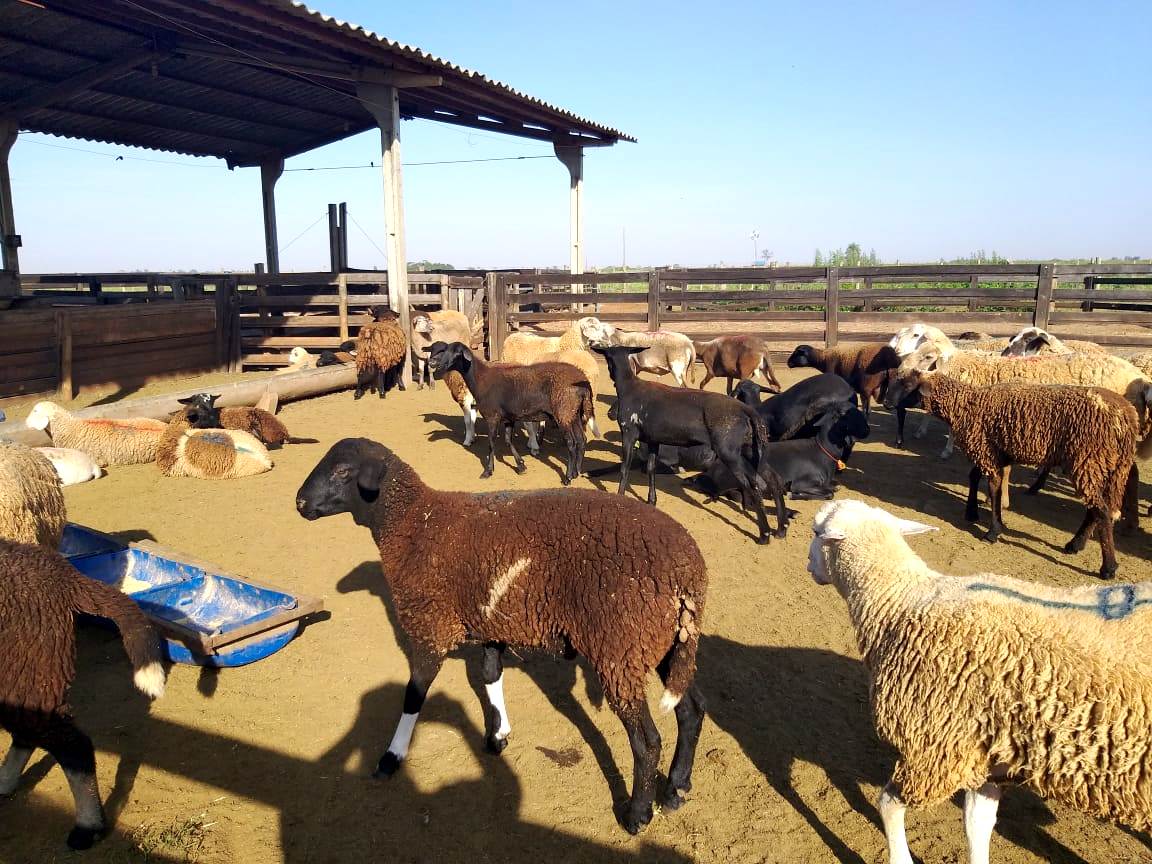 - Foto: Reprodução/ Portal MS - Foto: Reprodução/ Portal MS