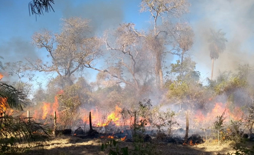 No ano passado o fogo consumiu cerca de 30% do território pantaneiro, o equivalente a mais de 4 milhões de hectares. - Foto: Arquivo/Divulgação