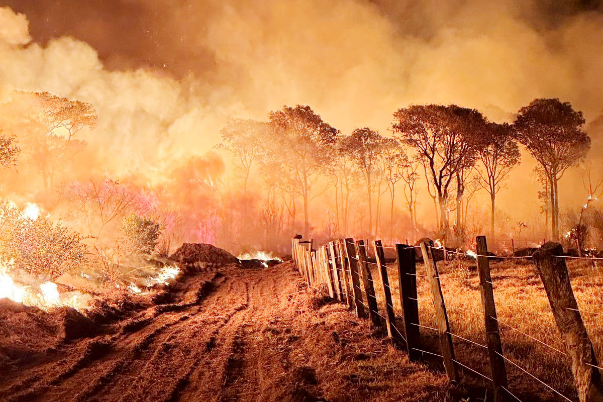 Fumaça dos incêndios se espalha pelo Estado e traz risco para rodovia - Divulgação/CBMS