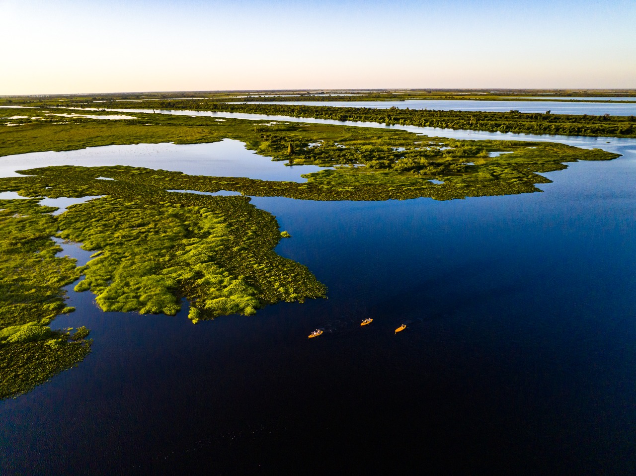 Legislação para preservar o Pantanal será votada em dezembro - Foto: Reprodução Lucas Ramos Mendes/ÍHP