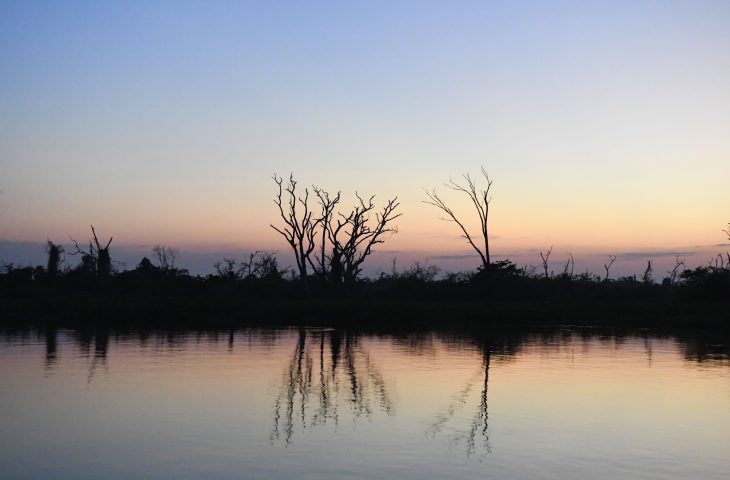 No Pantanal, Corumbá e Aquidauana registram mínimas de 25°C, com máximas de 30°C e 31°C - Foto: Divulgação/Governo do Estado