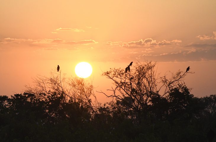 Céu com algumas nuvens são previstas para hoje