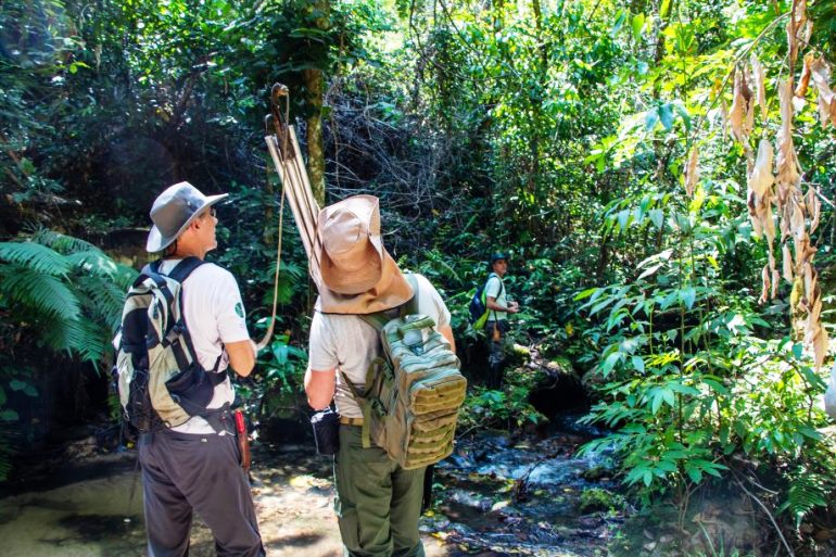 O Parque Natural Municipal do Pombo abriga diversos representantes da flora e fauna regional. - Divulgação/Assessoria