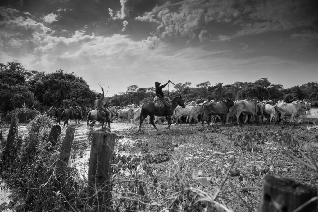 Título da obra: Homem Pantaneiro - Passagem de comitiva - Foto: Alexis Prappas