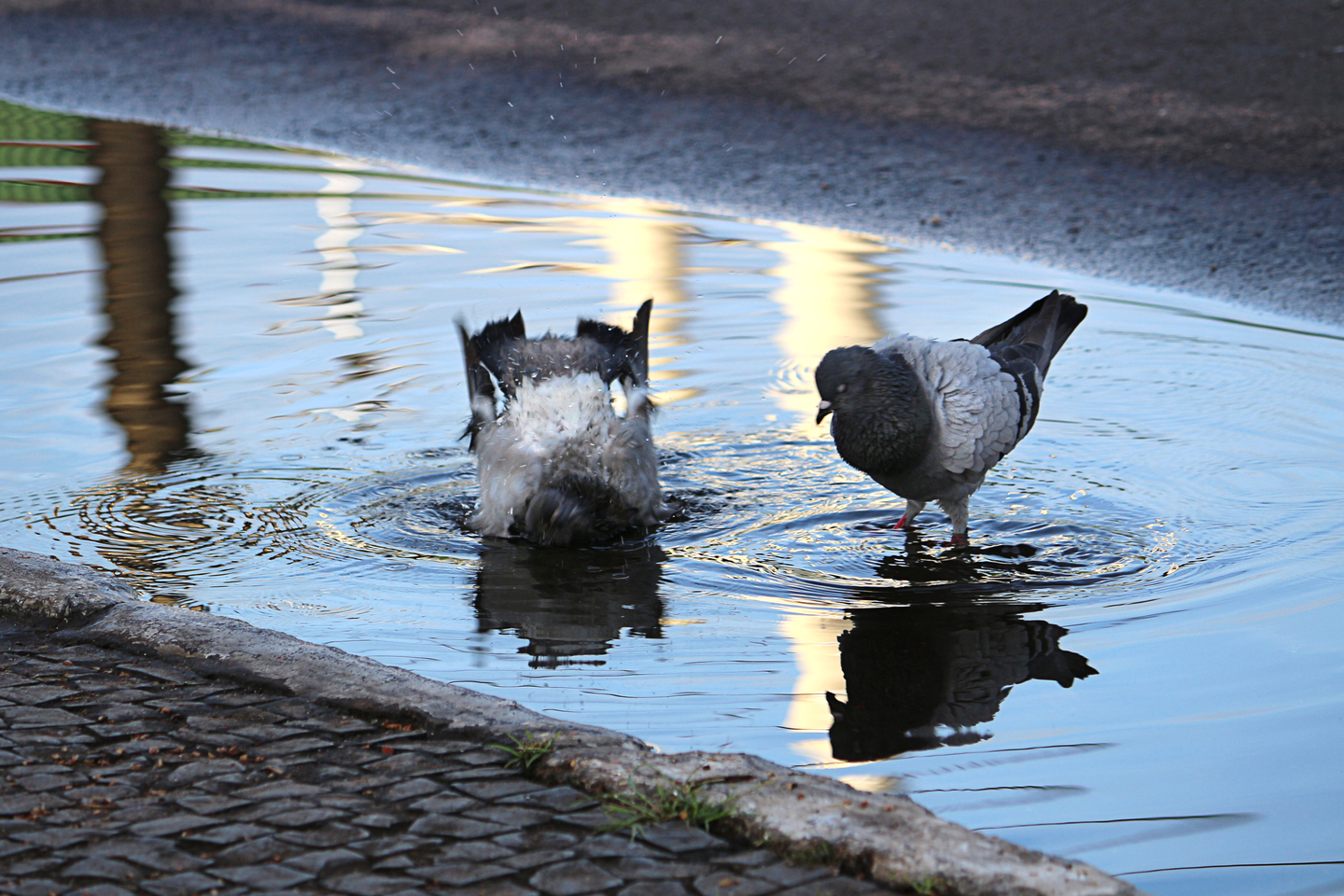 Que calorão! Uma das frases mais ditas por quem mora em Três Lagoas. E se tem como se refrescar, se joga! - Arquivo/JPNEWS