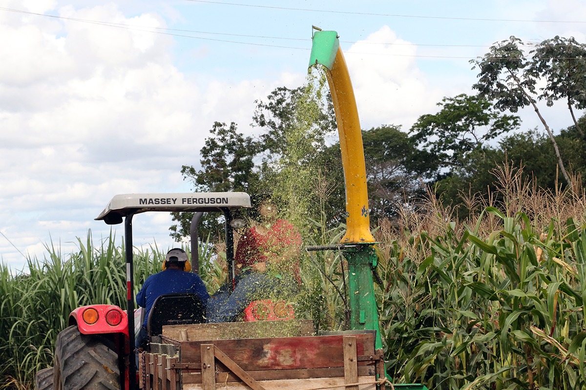 Saiba os direitos desses profissionais quando o lucro for comprometido por causas naturais - Arquivo/JPNews