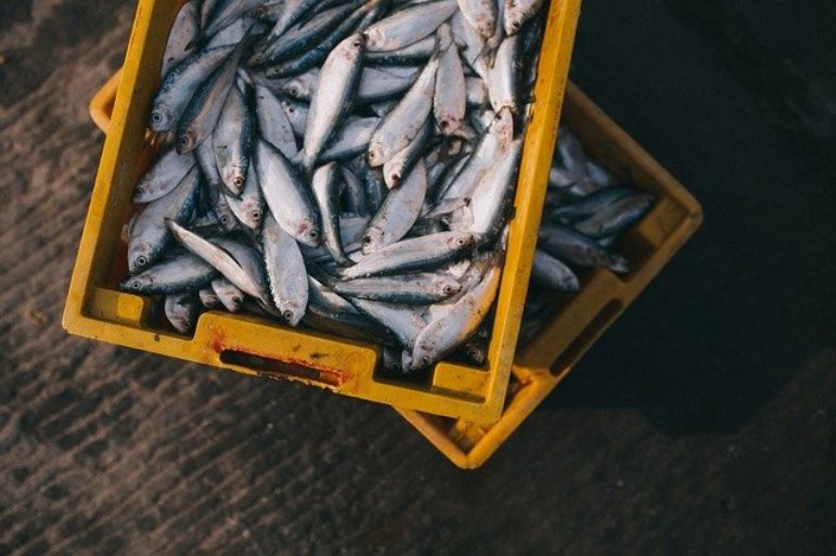 Seis feirantes de Três Lagoas adotaram o serviço para manter ritmo de vendas - Divulgação