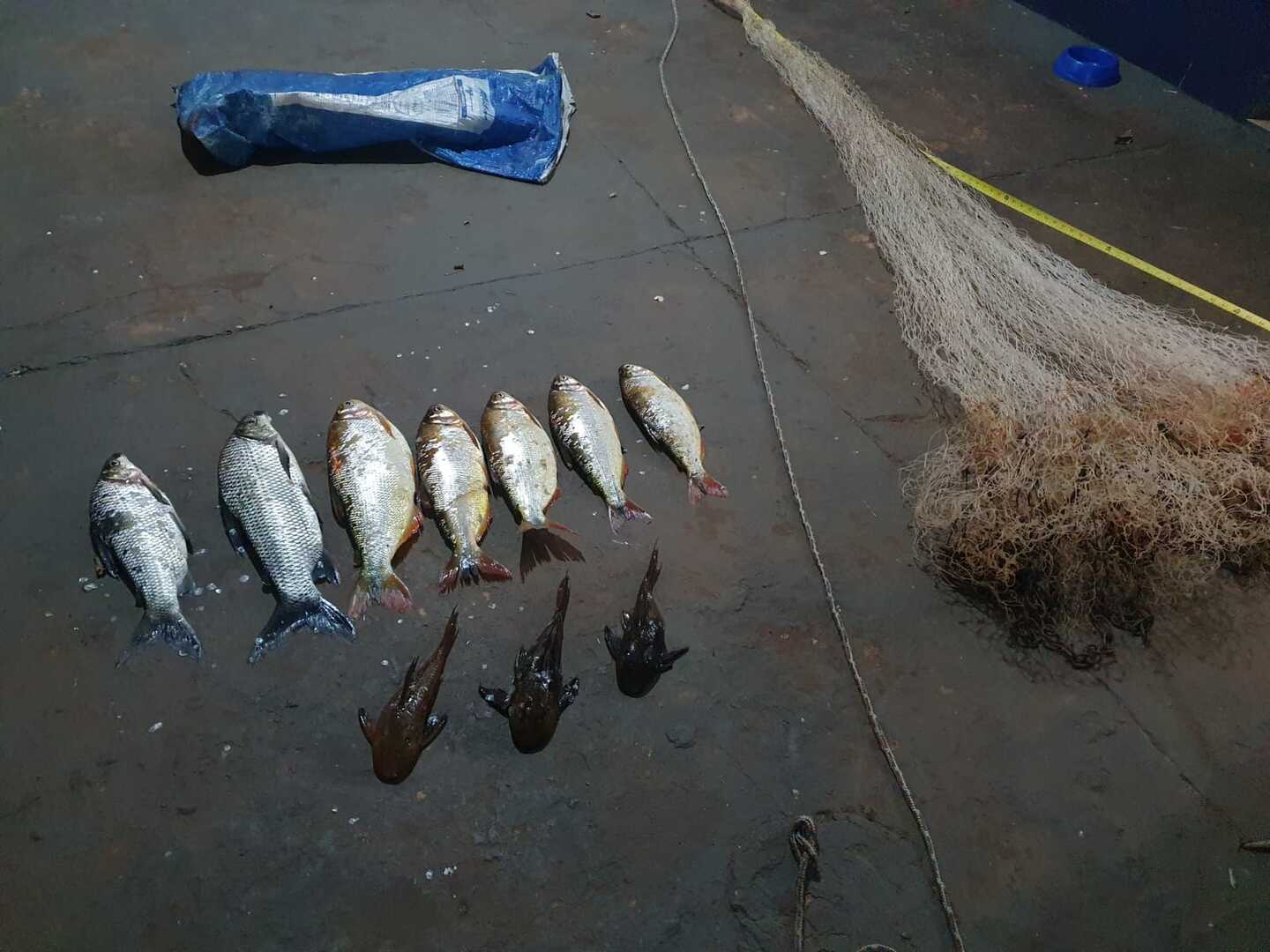 7kg de pescado foram apreendidos