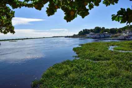 Pantanal sul-mato-grossense tem preservado os estoques pesqueiros com a modalidade de pesca esportiva - Paulo Machado/CBN-CG