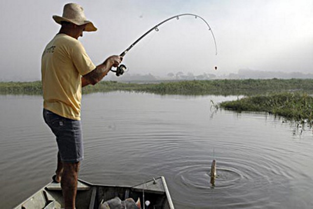 Pescadores encontram dificuldades para sobreviver da pesca, diz presidente - Arquivo/ilustração