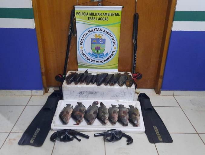 Vários equipamentos de mergulho e pescado foram apreendidos, durante pescaria, em Três Lagoas. - Divulgação/PMA