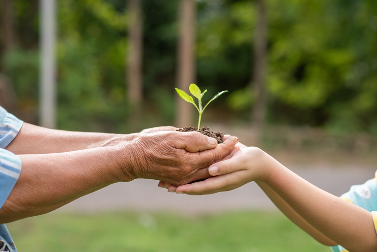 Para a sobrevivência futura do planeta Terra é indispensável cessar as continuadas agressões ao meio ambiente. - Freepik