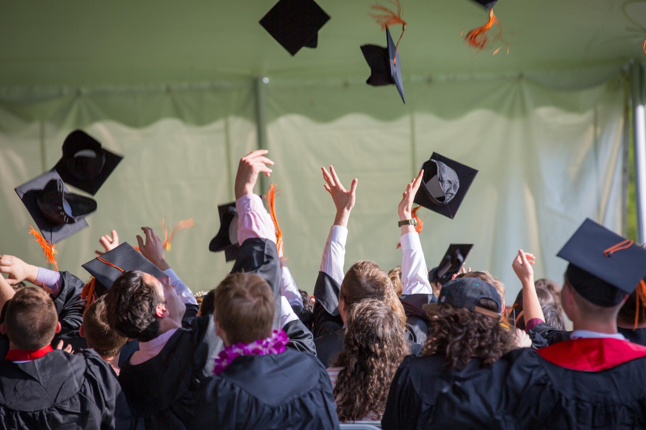 Graduação oferece um ano de estágio em empresa latino-americana - Foto de Emily Ranquist