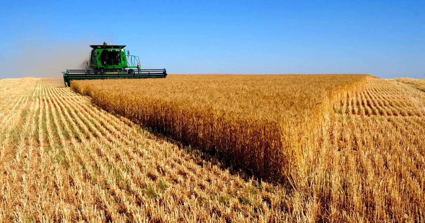 PIB do agronegócio brasileiro teve queda - Foto: Reprodução/Senar