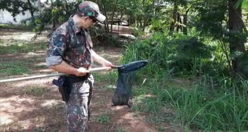 Fato ocorreu nesta terça-feira (2), no bairro Vila Nova, em Três Lagoas - Divulgação/PMA