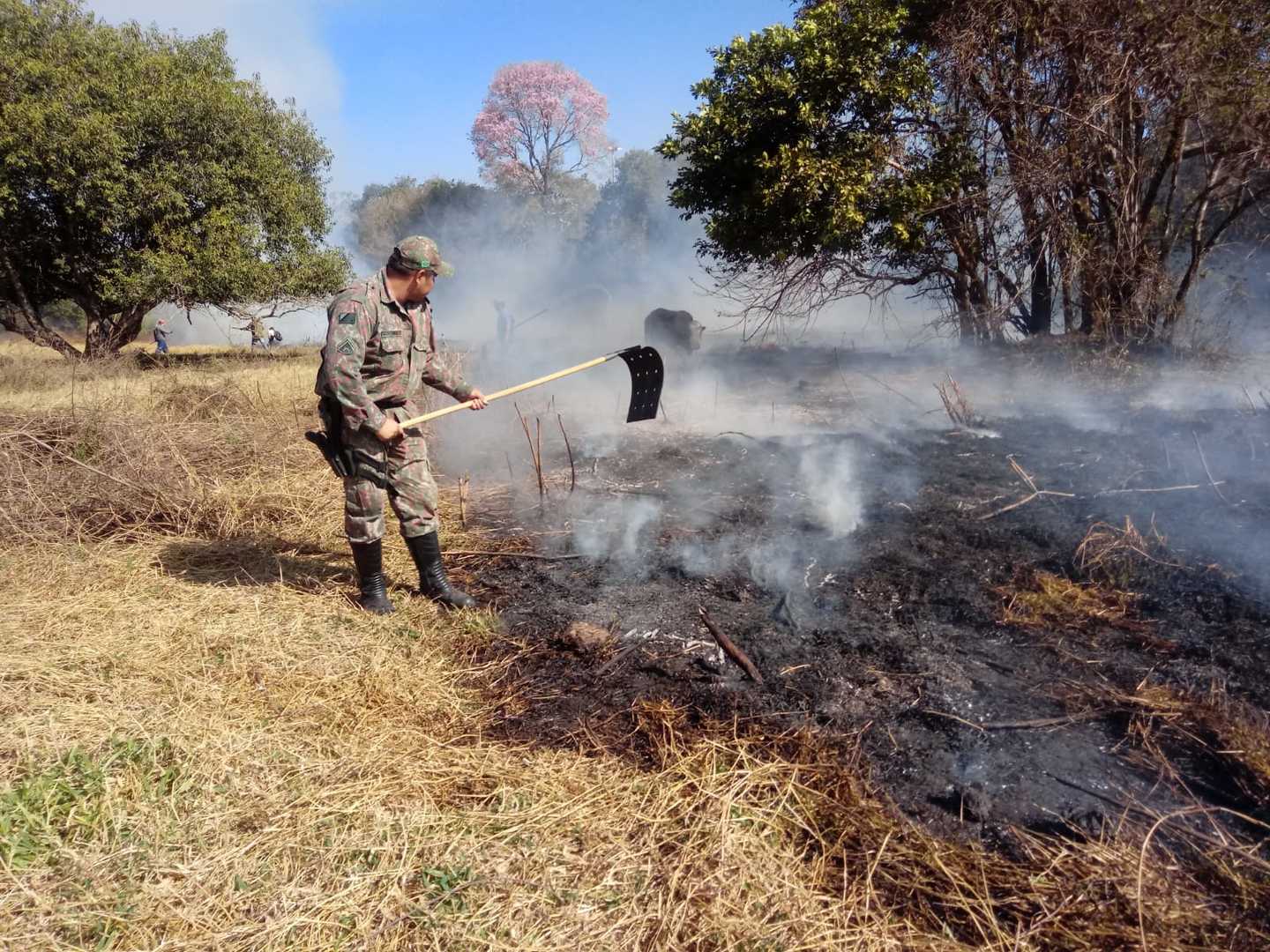 Propriedade está localizada próxima a aldeia passarinho, região de grande risco de incêndio - Foto: Divulgação PMA/MS