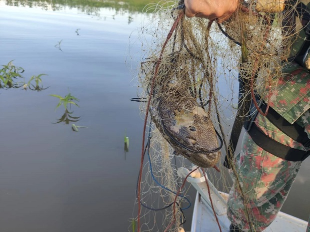 Se identificado, o pescador responderá por crime ambiental de pesca predatória - Reprodução/PMA-MS