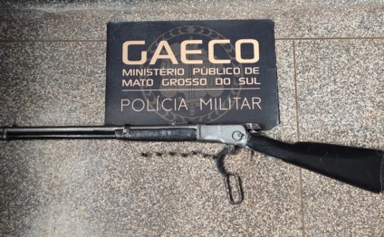 Ao todo, quatro mandados de prisão preventiva e oito mandados de busca e apreensão foram expedidos - Foto: Divulgação Gaeco