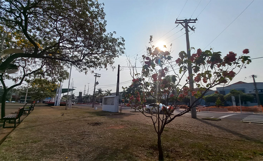 A temperatura máxima pode chegar aos 39°C - Alfredo Neto/RCN67