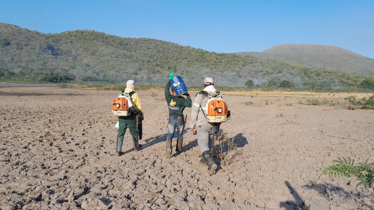 Início de incêndio na região da Serra do Amolar foi controlado por brigadistas - Foto: Divulgação/IHP