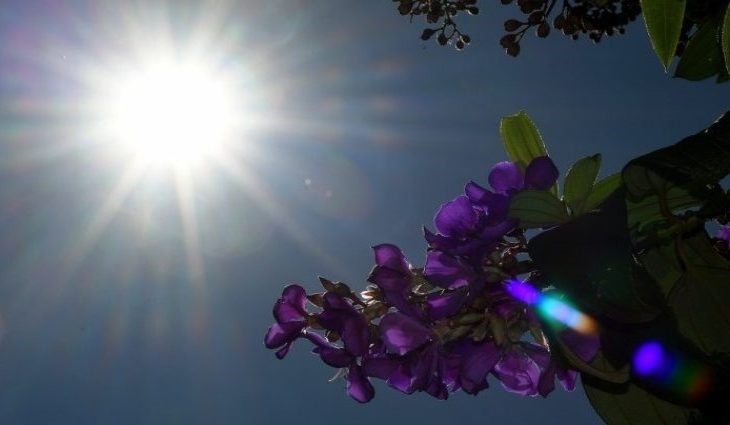 A indicação também é de variação de nebulosidade, por conta do avanço da massa de ar frio e seco pelo estado - Foto: Reprodução/ Governo de MS