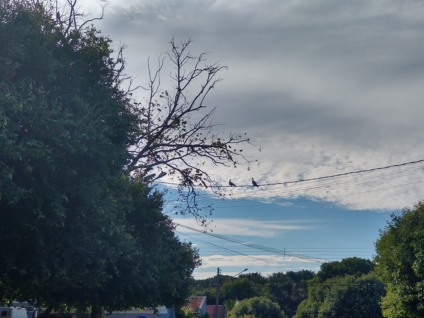 Por enquanto, as condições para esta quarta-feira (26) são de céu claro na maior parte do dia - Talita Matsushita/JPNEWS Por enquanto, as condições para esta quarta-feira (26) são de céu claro na maior parte do dia - Talita Matsushita/JPNEWS