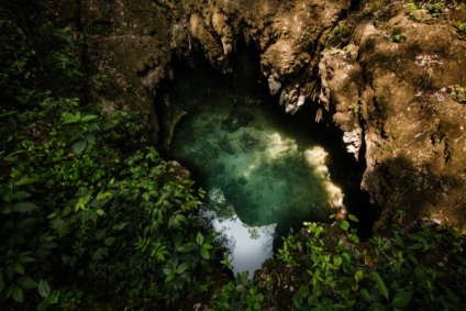 Em dois anos de existência o projeto já plantou mais de 20 mil árvores em todo estado - Foto: Fabrício Barreto