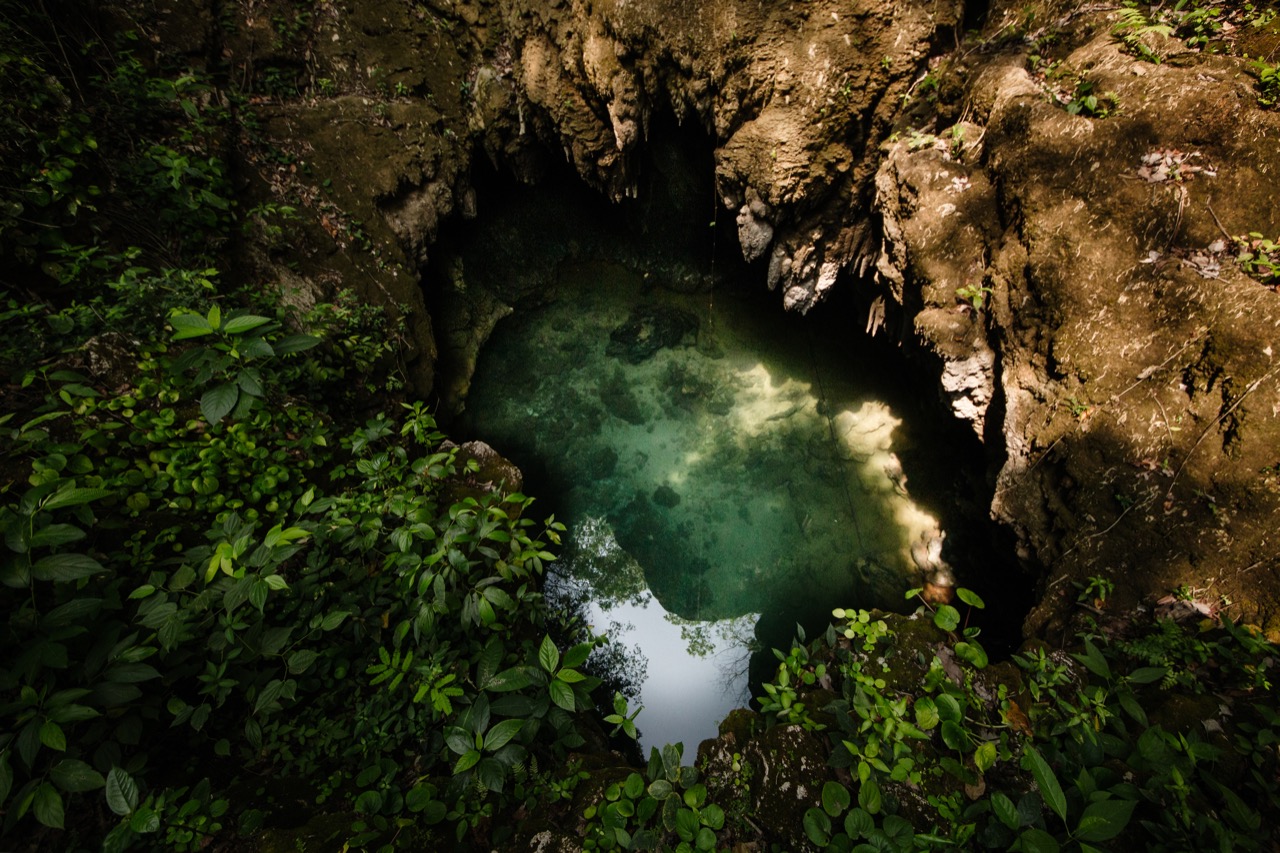 Em dois anos de existência o projeto já plantou mais de 20 mil árvores em todo estado - Foto: Fabrício Barreto