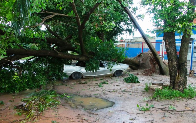 Rajada de vento chegou a 63 km/h na cidade e deixou prejuízos. - Divulgação/Assessoria