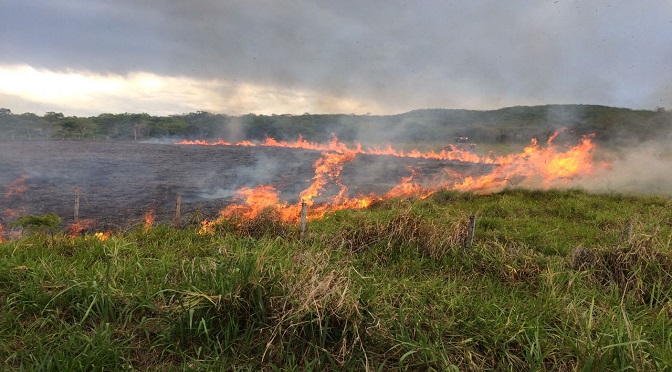 Queimadas em terrenos baldios geram transtornos - arquivo/JPNews