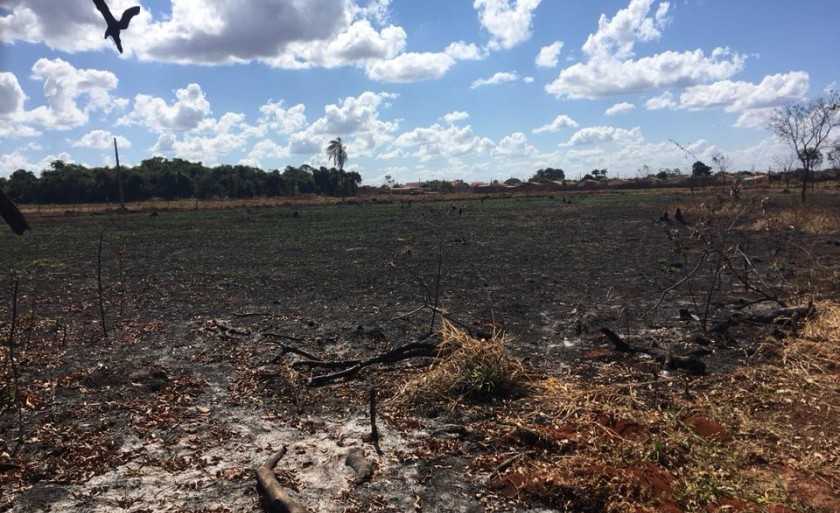 O combate ao fogo deve ser feito por brigadistas e pelo Corpo de Bombeiros, mas a prevenção pode ser feita por todos. - Arquivo/JPNEWS