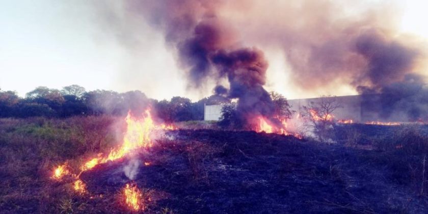 Embora o fogo já estivesse alto e se espalhando, foi possível conter o incêndio rapidamente antes que atingisse a Parque das Capivaras, localizada na região conhecida como Cascalheira. - Divulgação/Assessoria