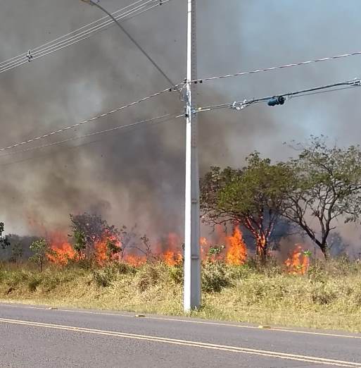 Corpo de Bombeiros tem recebido diversas chamadas em bairros por conta de incêndios. - Arquivo/JPNEWS