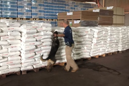Carregamento, avaliado em mais de R$ 1 milhão, estava em seis caminhões - Foto: Divulgação/Receita Federal
