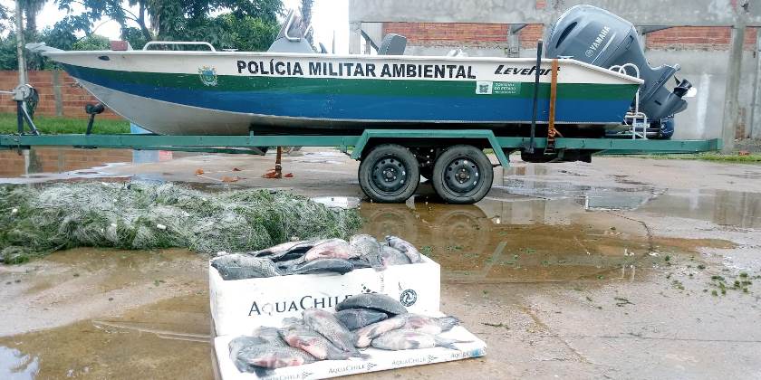 O pescado que estava morto, depois de atestado por profissional de que era próprio para o consumo, foi doado para a instituição filantrópica. - Divulgação/Assessoria