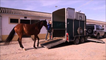 Participantes de esportes como laça comprido e hipismo, que precisarem fazer a locomoção dos cavalos para competições contam agora com o passaporte digital equestre que vai reduzira burocracia e facilitar o transporte dos animais no estado - Foto:Divulgação/Portal Cavalus