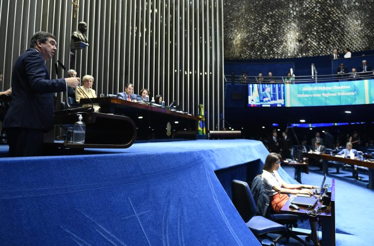 Riedel foi o sexto a subir na tribuna para explanar sobre os interesses sul-mato-grossenses - Foto: Agência Senado