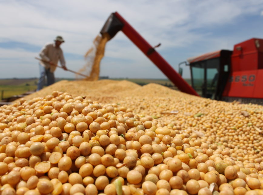 Soja volta a ser negociada a US$ 12 por bushel - Foto: Reprodução/Semadesc