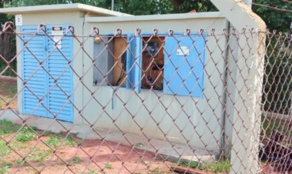 Cabos elétricos foram furtados do Sistema da Abastecimento de Água da Sanesul - Divulgação