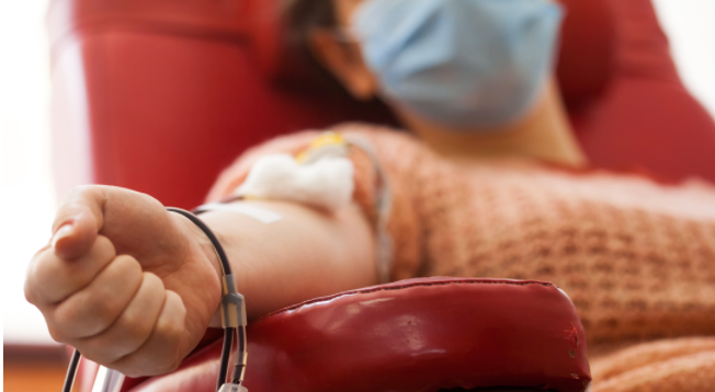 Em 14 de junho é celebrado o Dia Mundial do doador de sangue. - Foto: Saúde Ativa